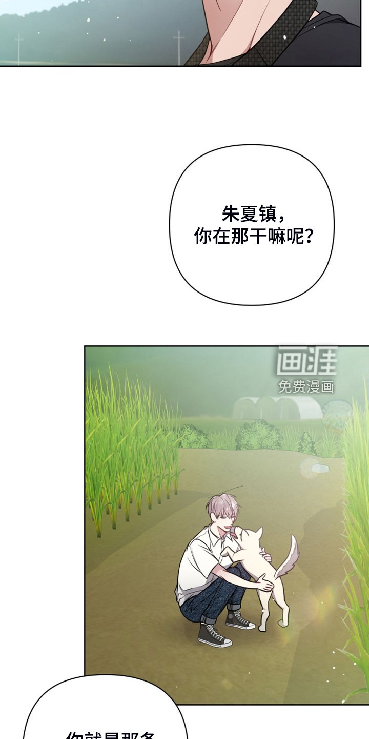 第50章：凶悍的小狗