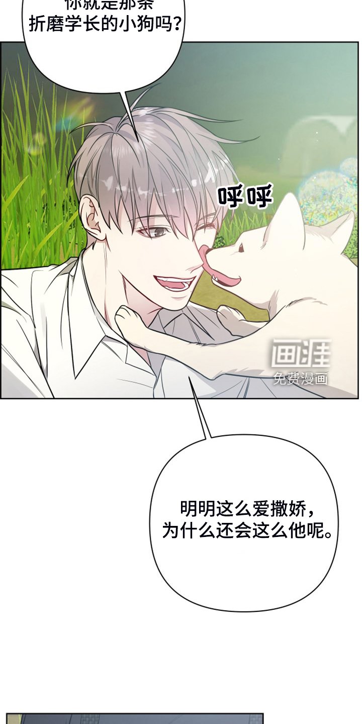 第50章：凶悍的小狗