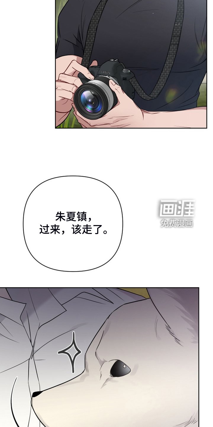 第50章：凶悍的小狗
