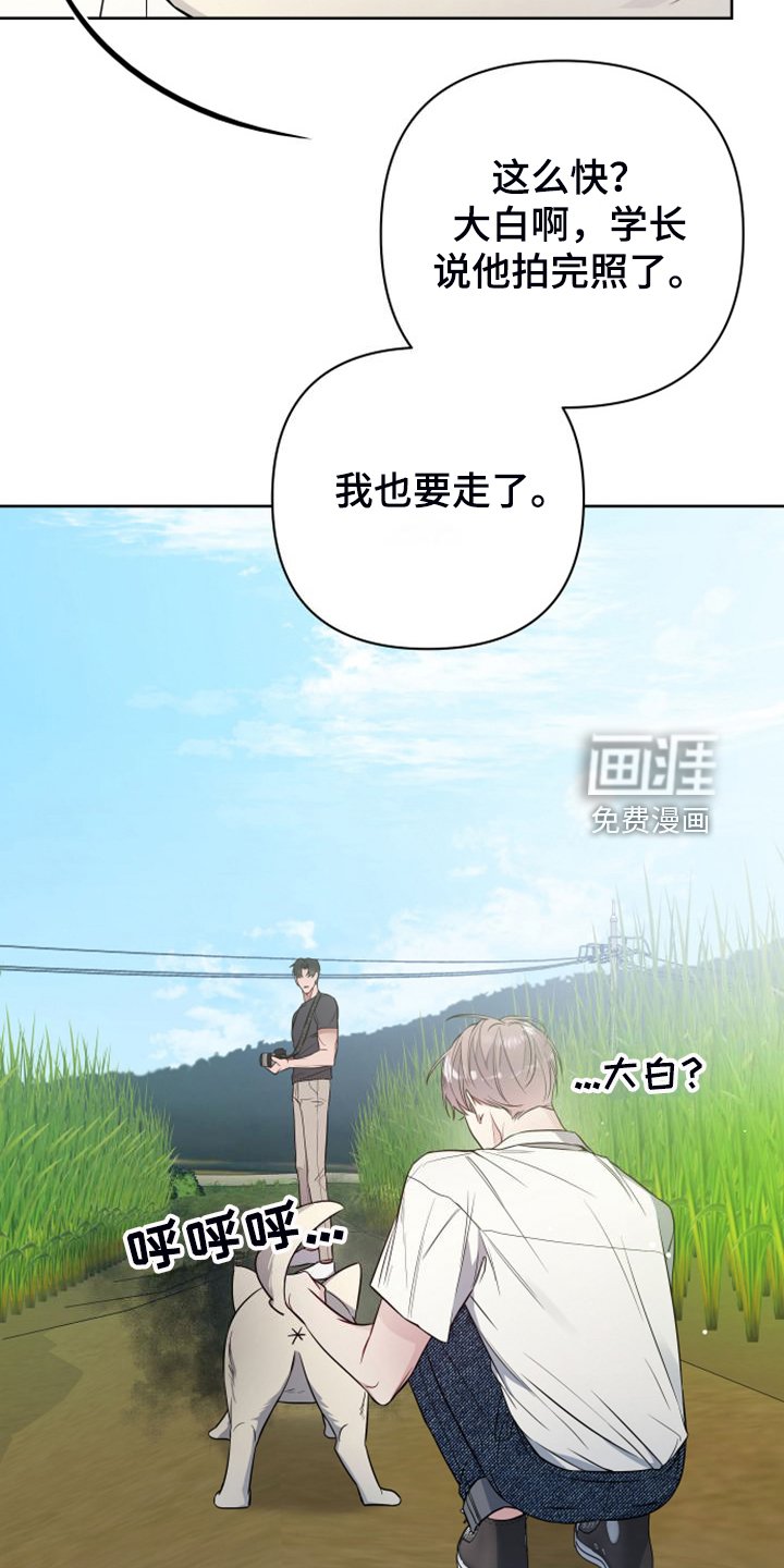 第50章：凶悍的小狗