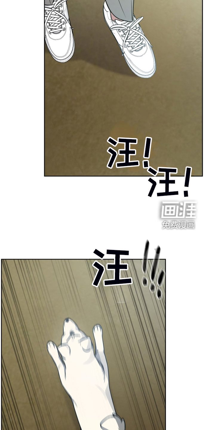 第50章：凶悍的小狗