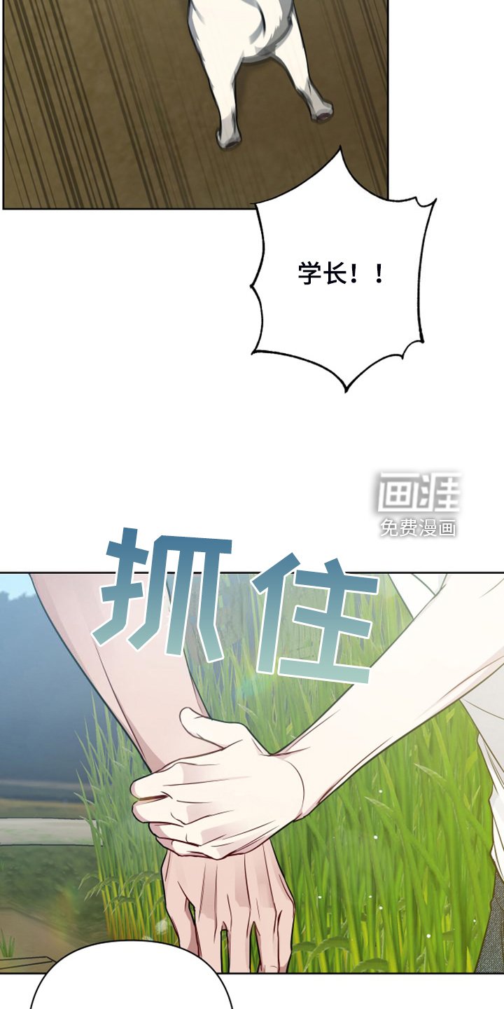 第50章：凶悍的小狗