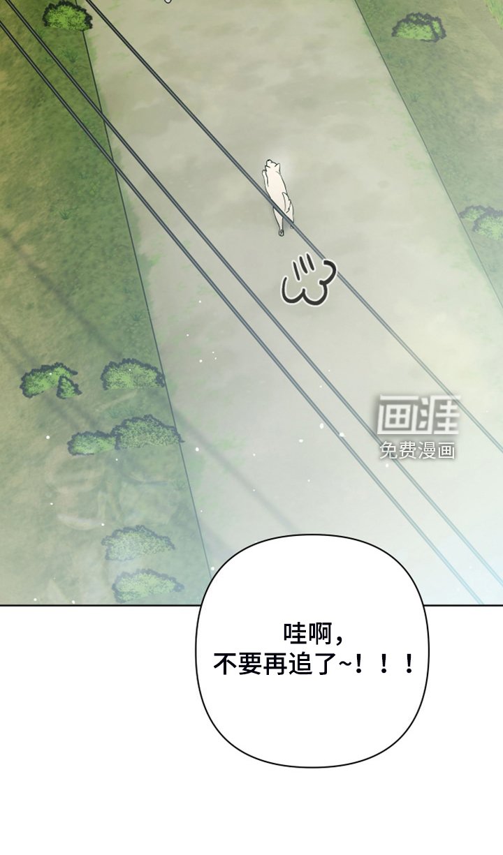 第50章：凶悍的小狗