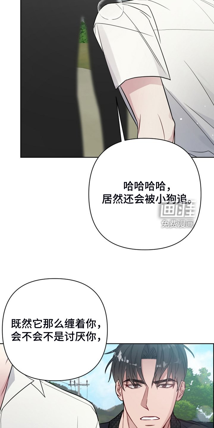 第50章：凶悍的小狗