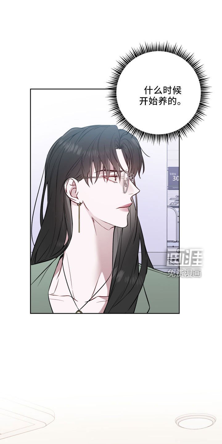 第78章：胆肥了