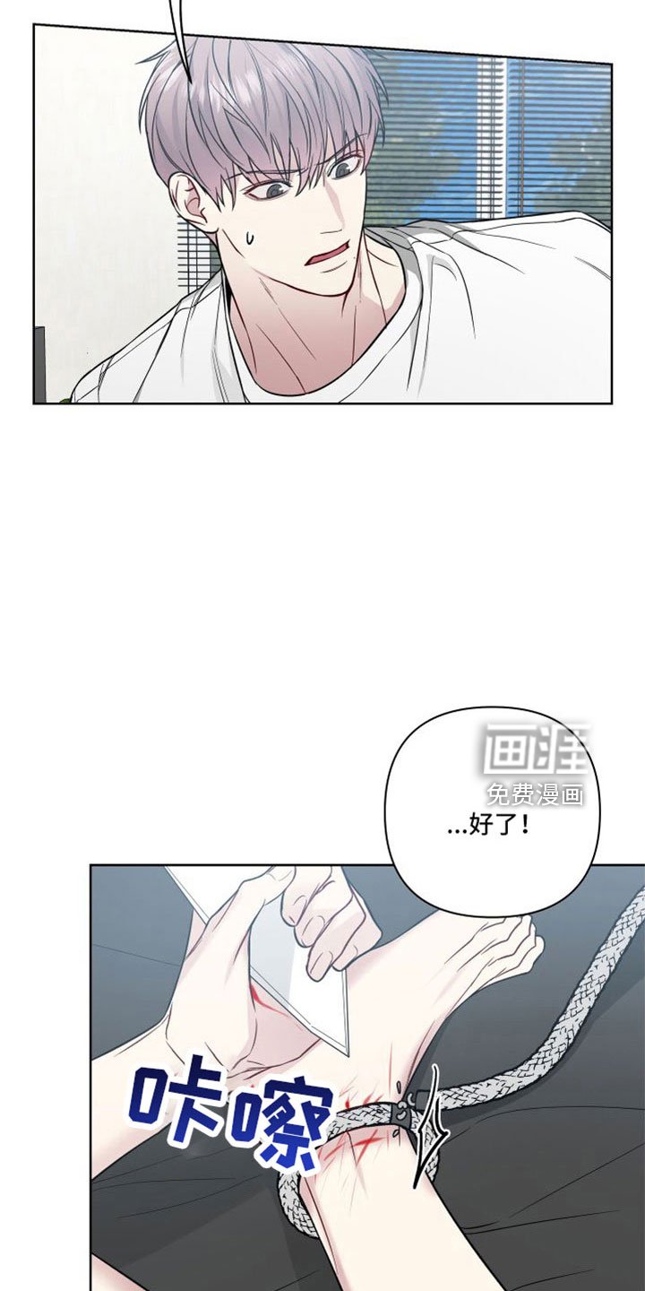 第90章：王八蛋再见