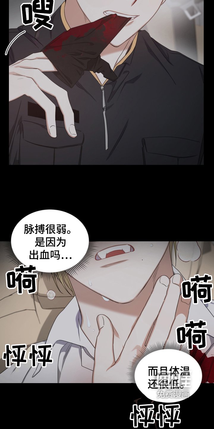 第10章：开始拍摄