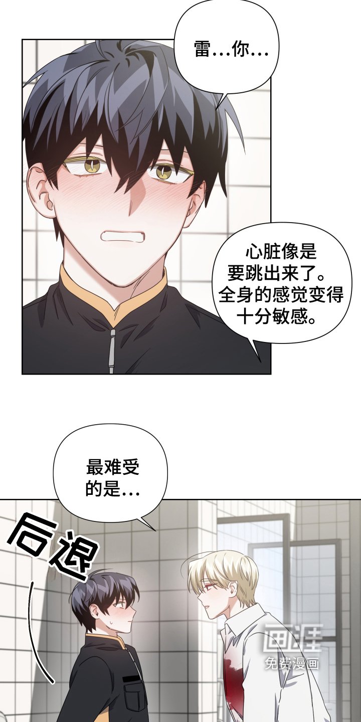 第11章：副作用