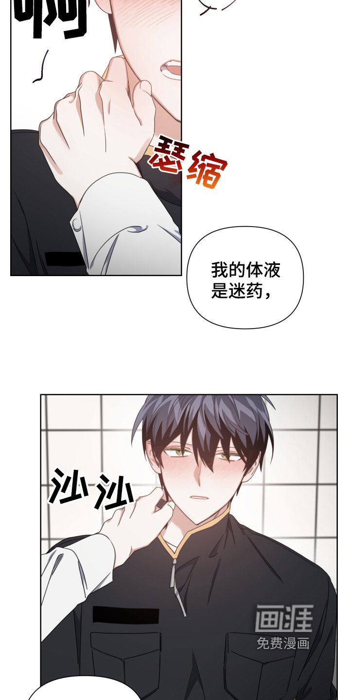 第11章：副作用