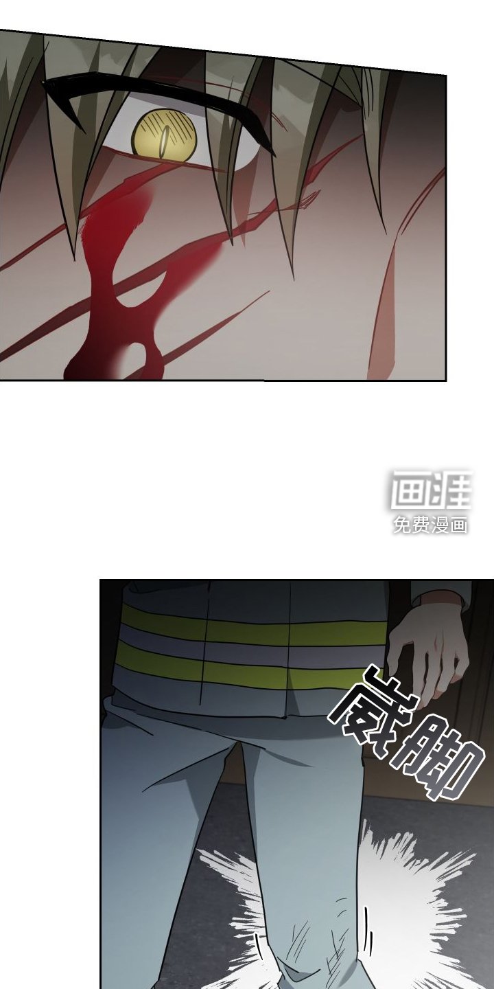 第111章：真正的价值