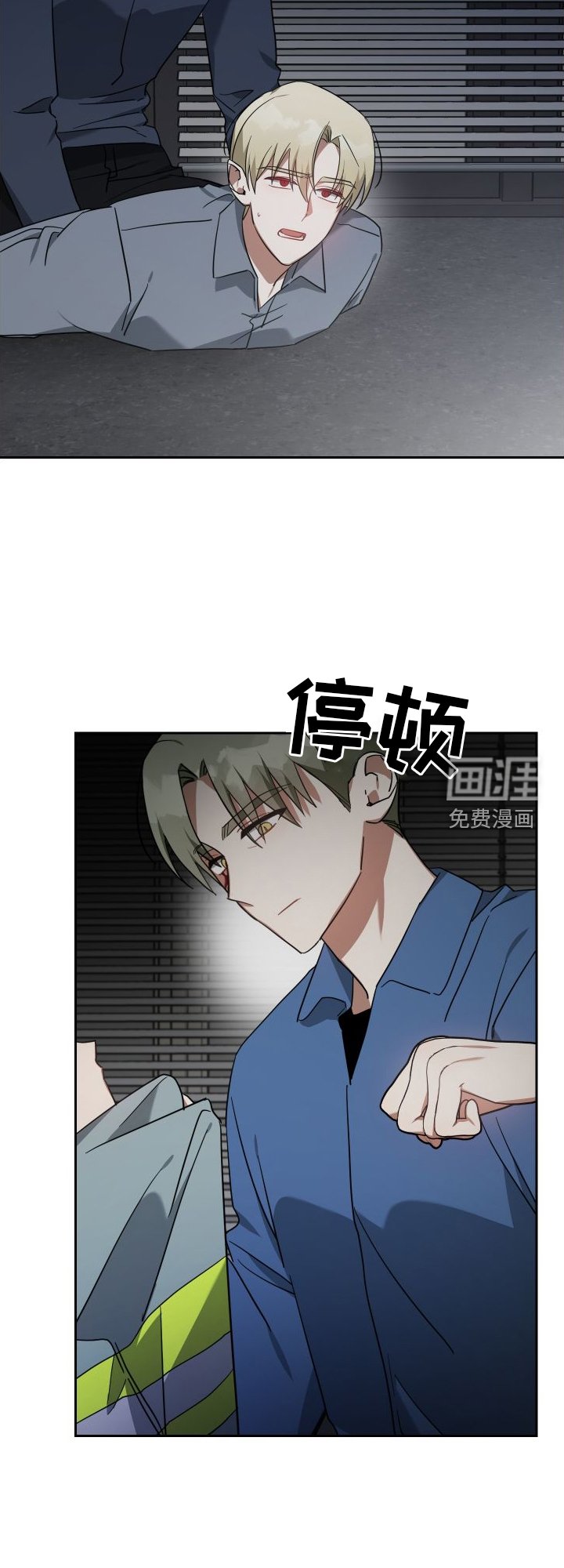 第111章：真正的价值