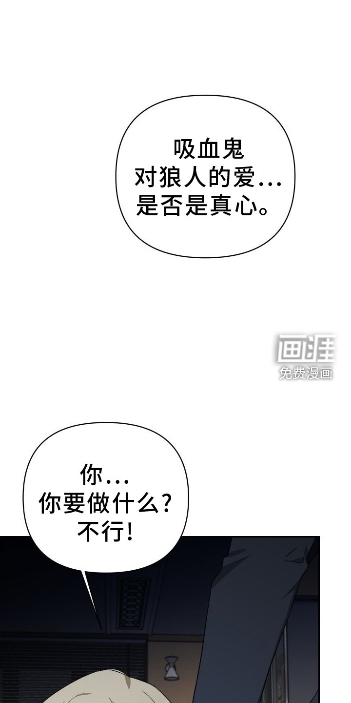 第111章：真正的价值
