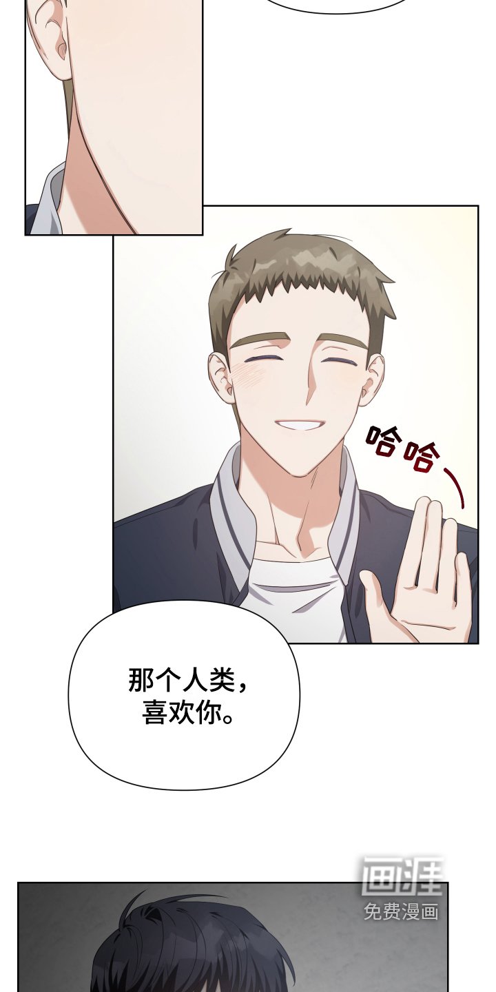 第13章：看破
