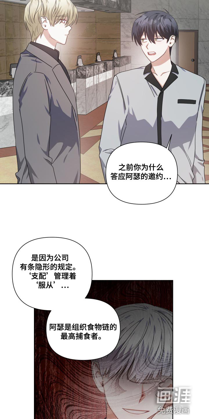 第28章：所属物