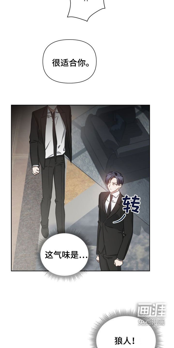 第42章：别激动