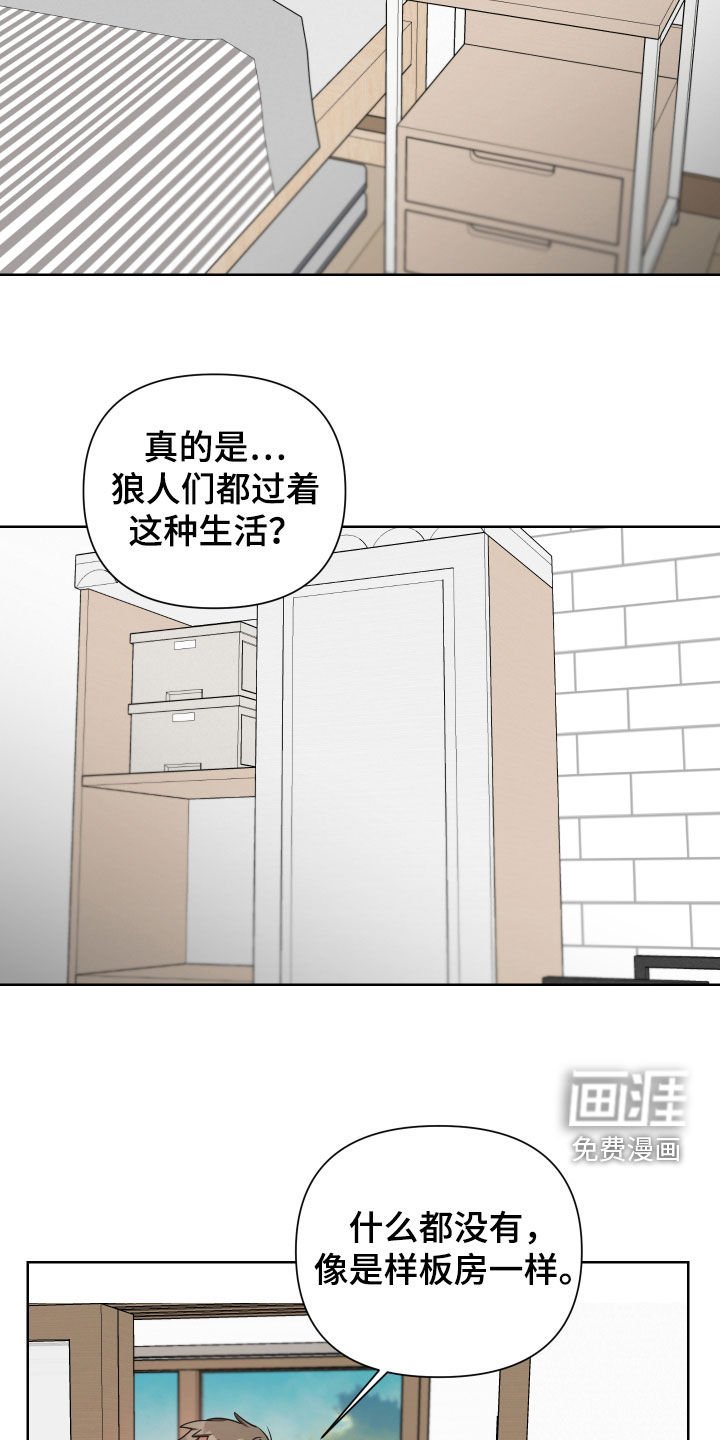 第52章：真的变了