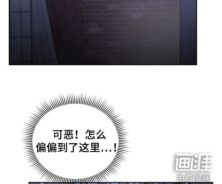 第55章：真的是你