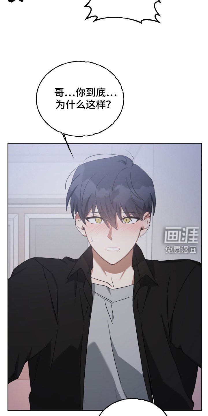 第65章：回来吧