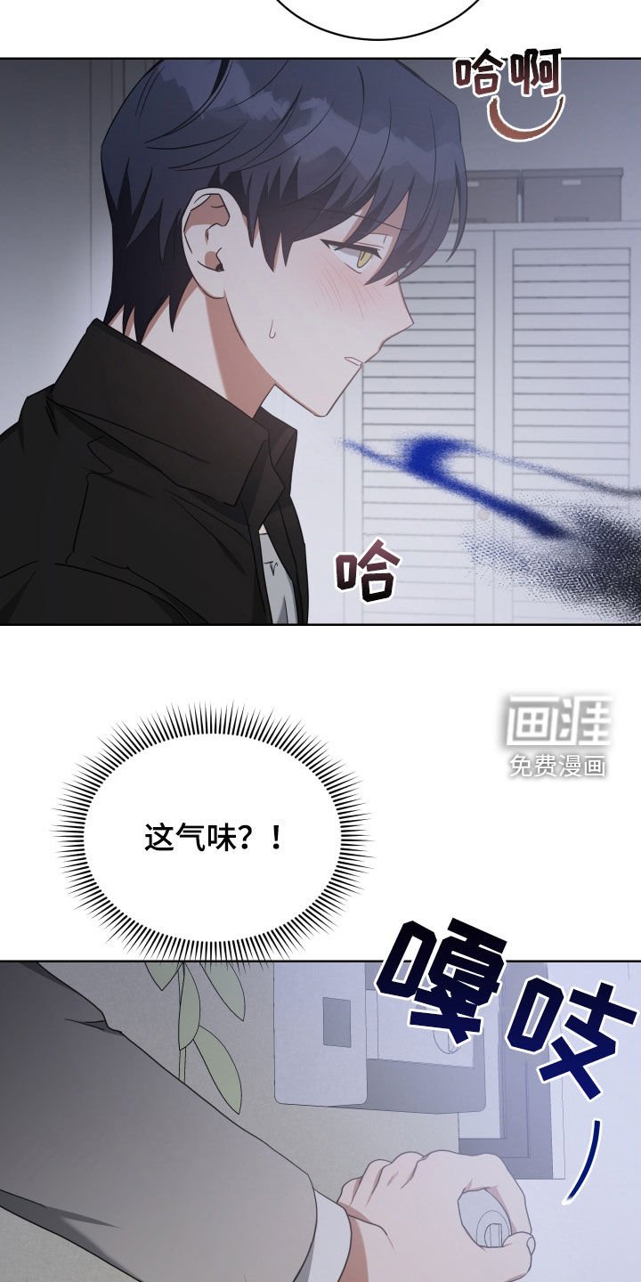 第65章：回来吧