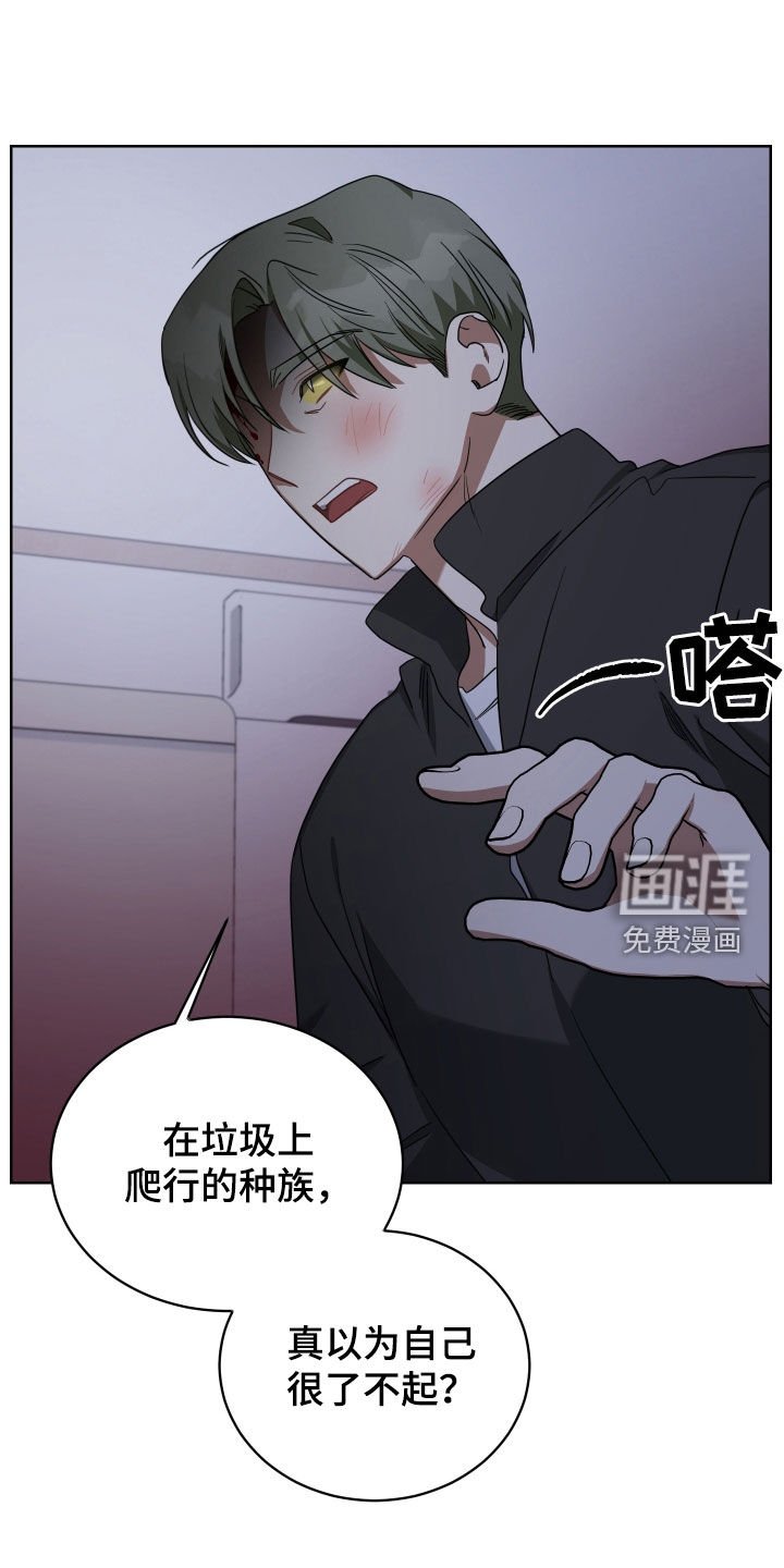 第67章：客人