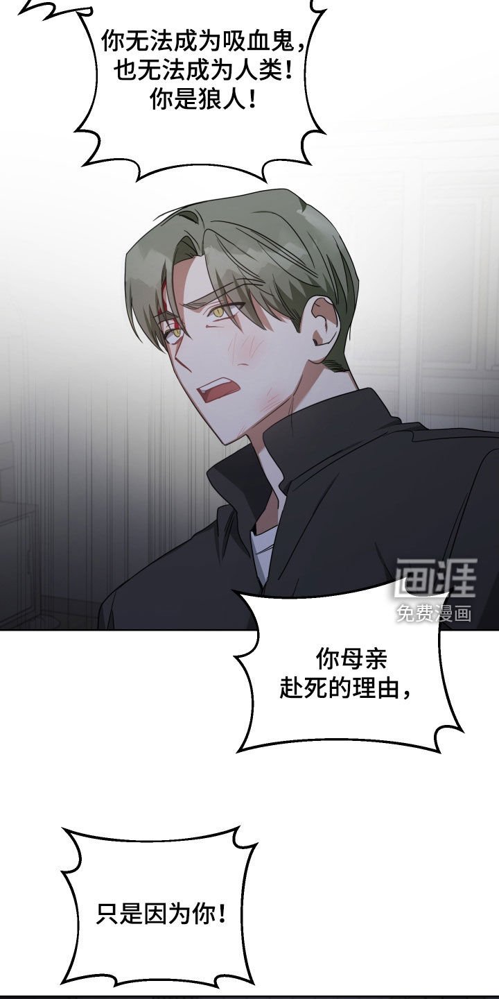 第67章：客人