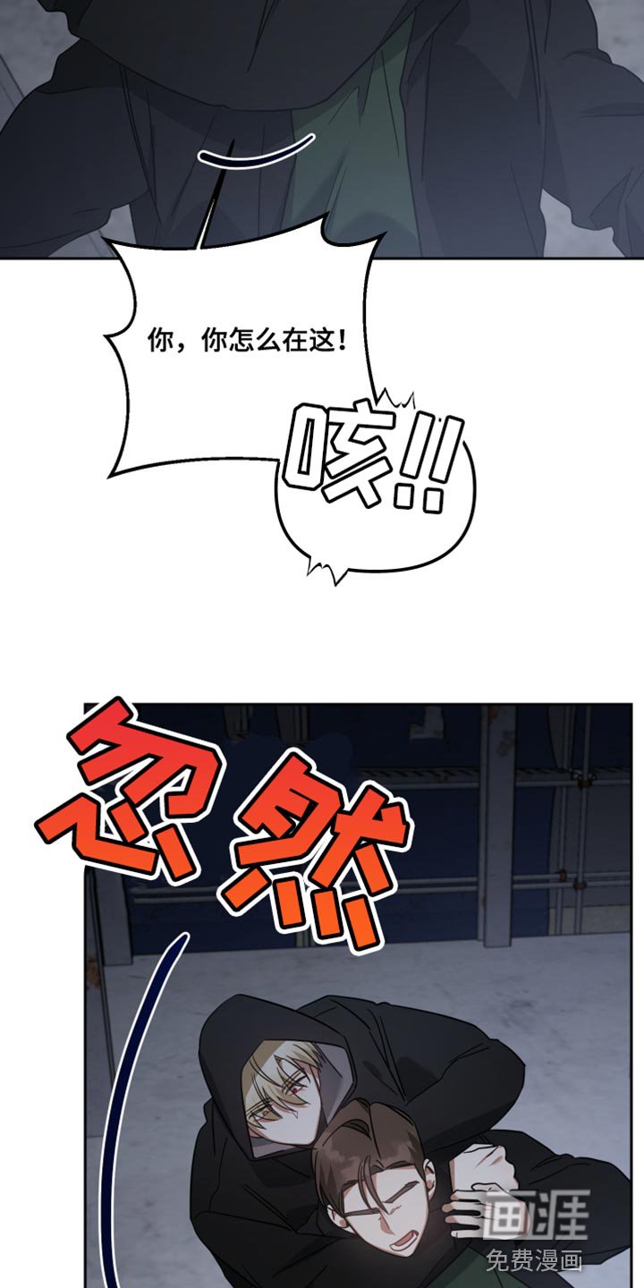 第75章：等着我的信号