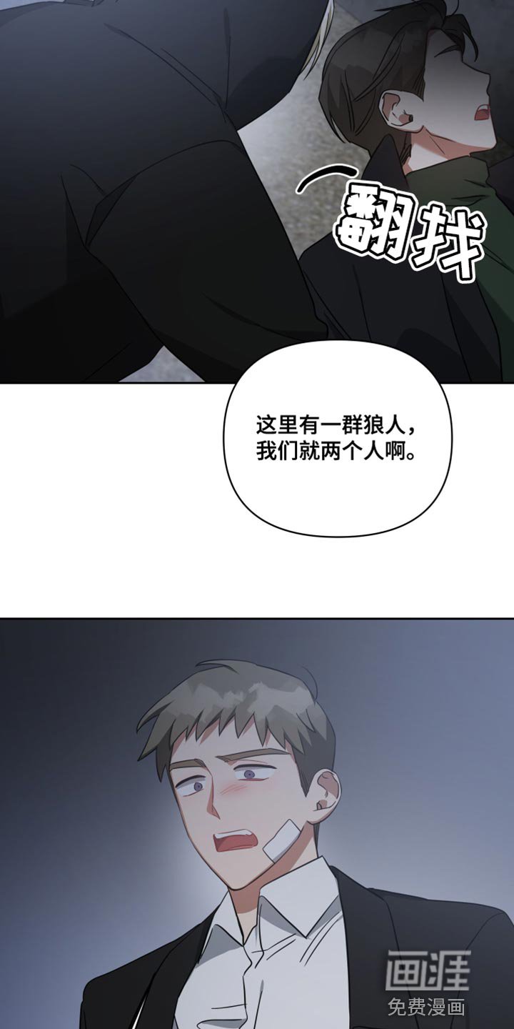 第75章：等着我的信号