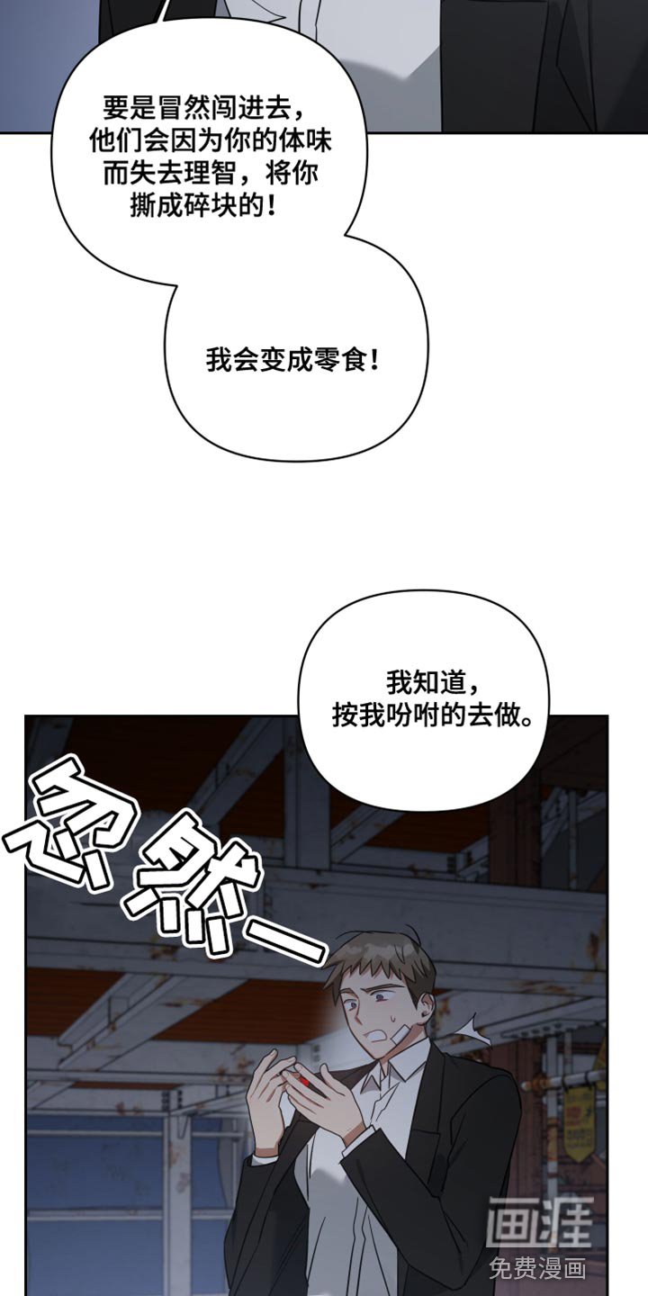 第75章：等着我的信号