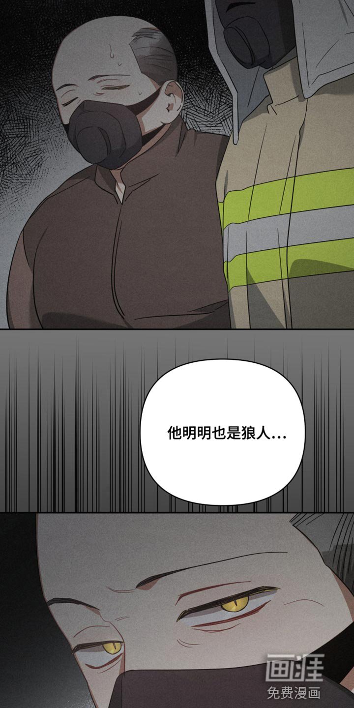 第76章：我的回答