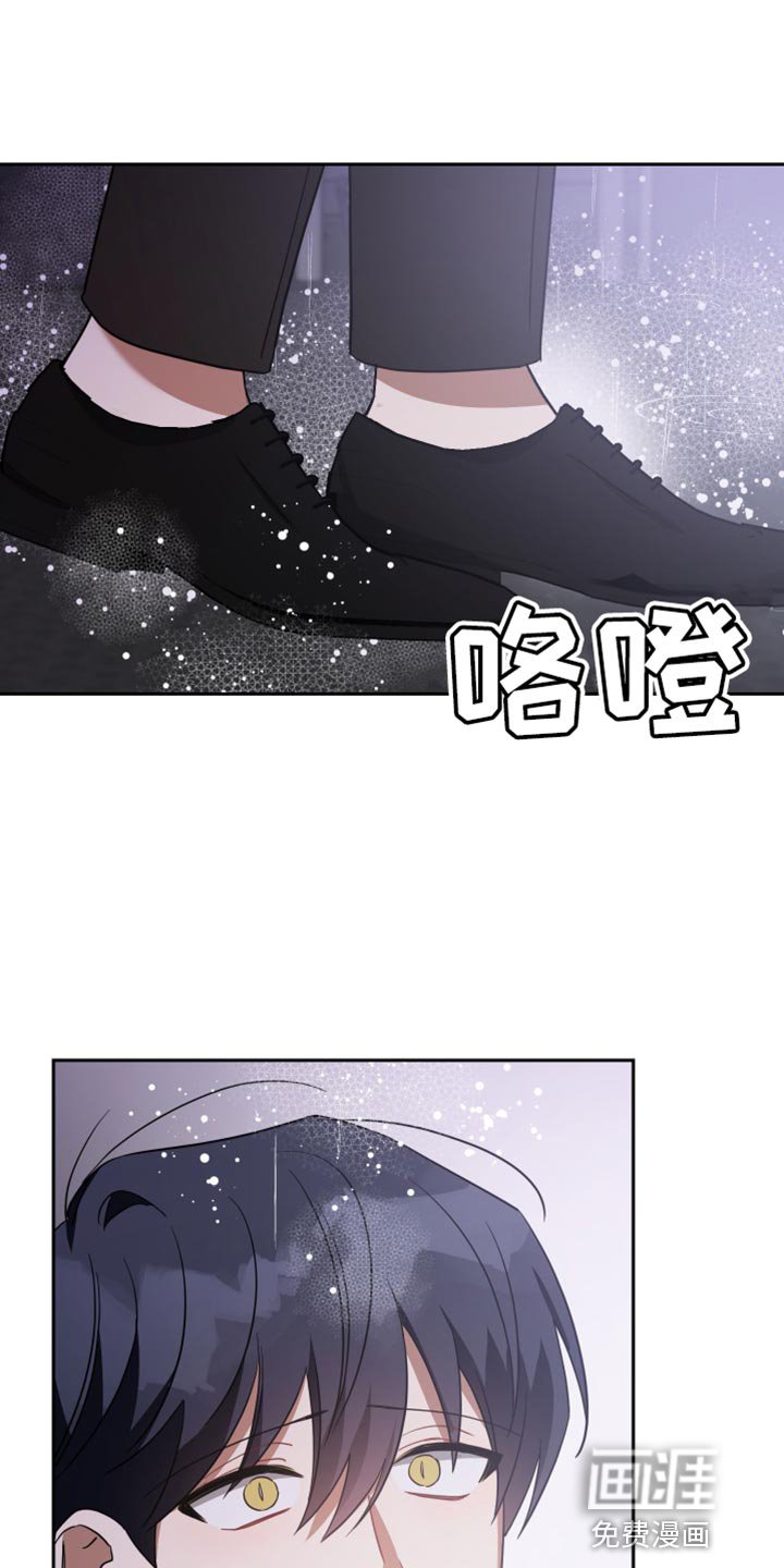 第77章：承受后果