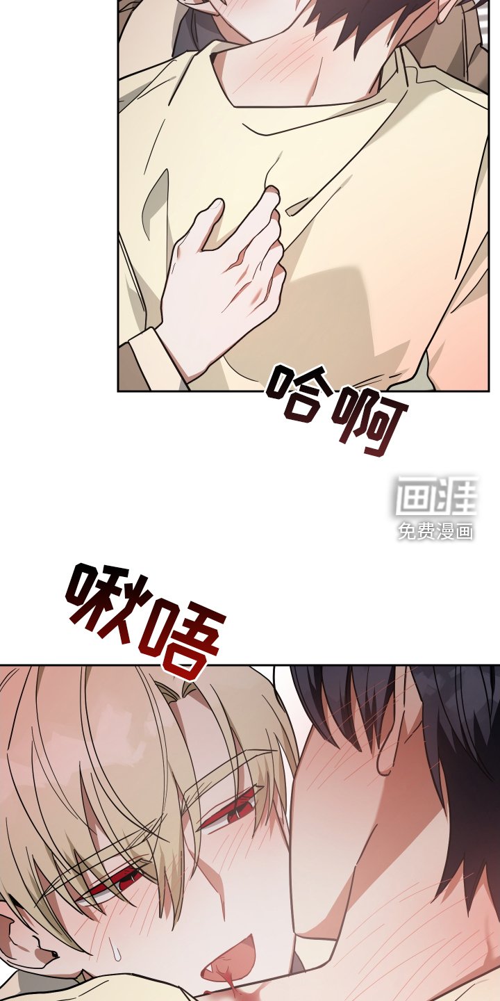 第91章：管理