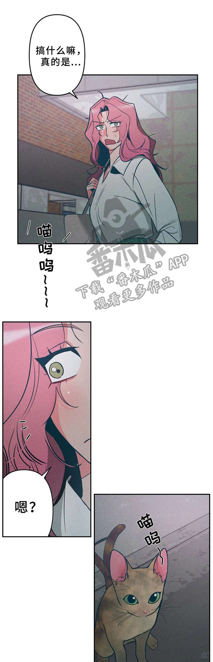 第15章：小猫