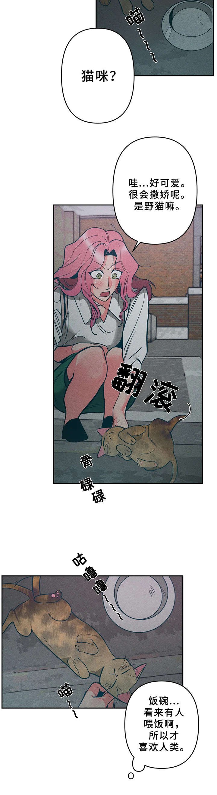 第15章：小猫