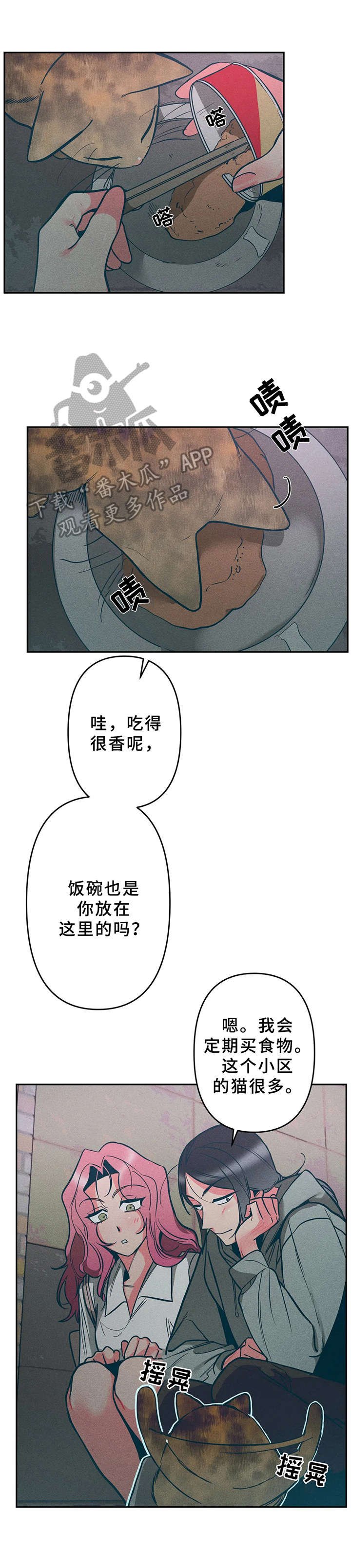 第15章：小猫