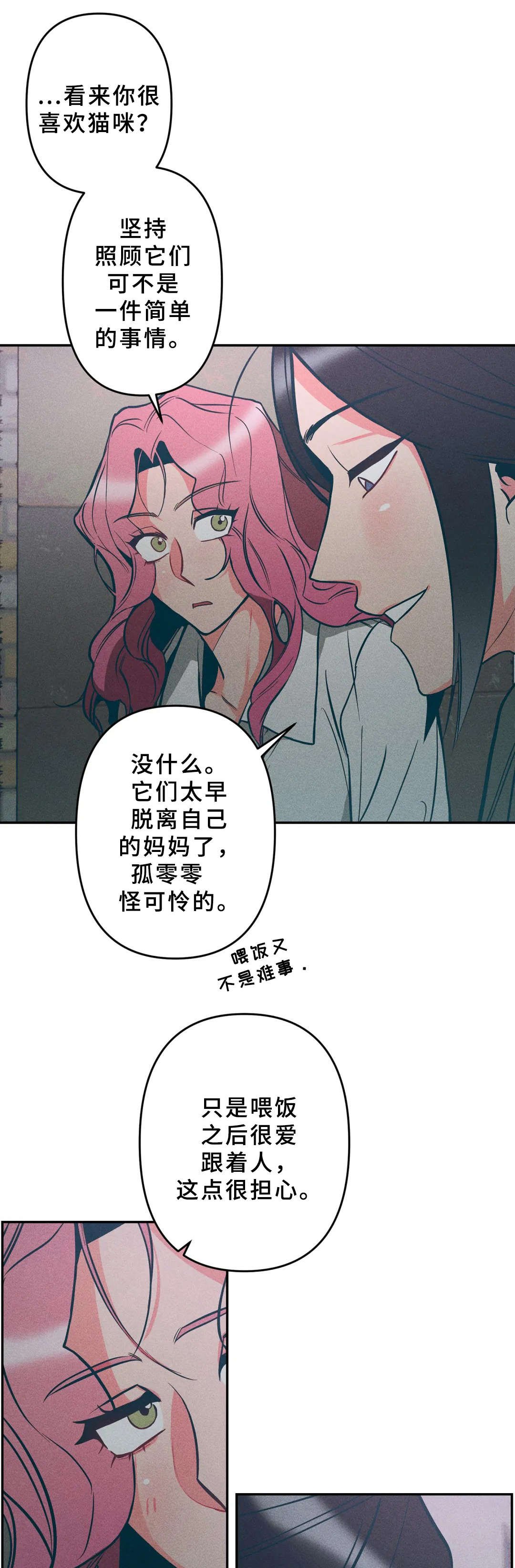 第15章：小猫