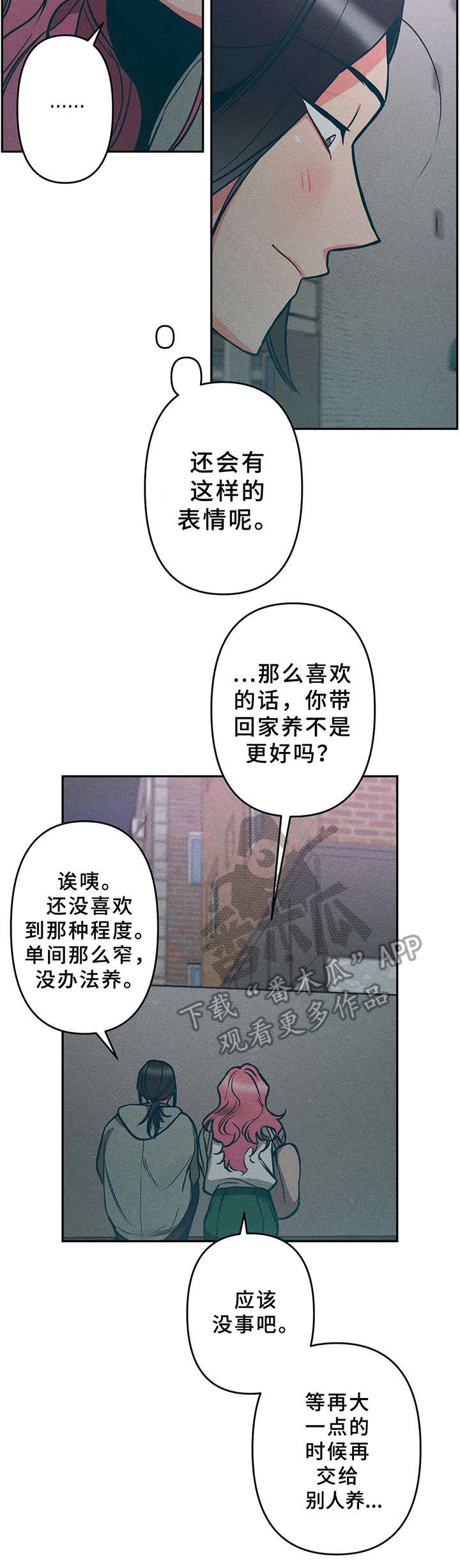 第15章：小猫
