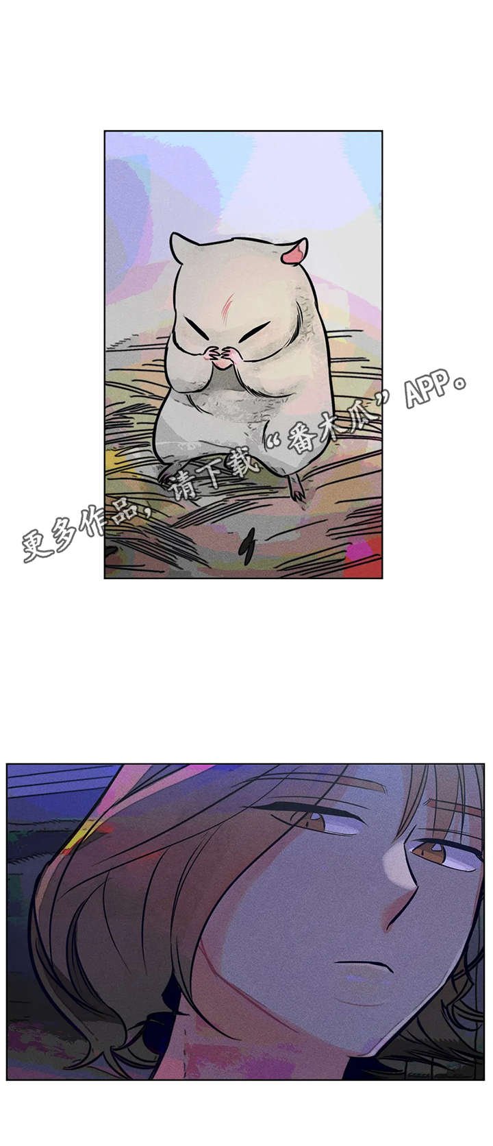 第5章：待着别动
