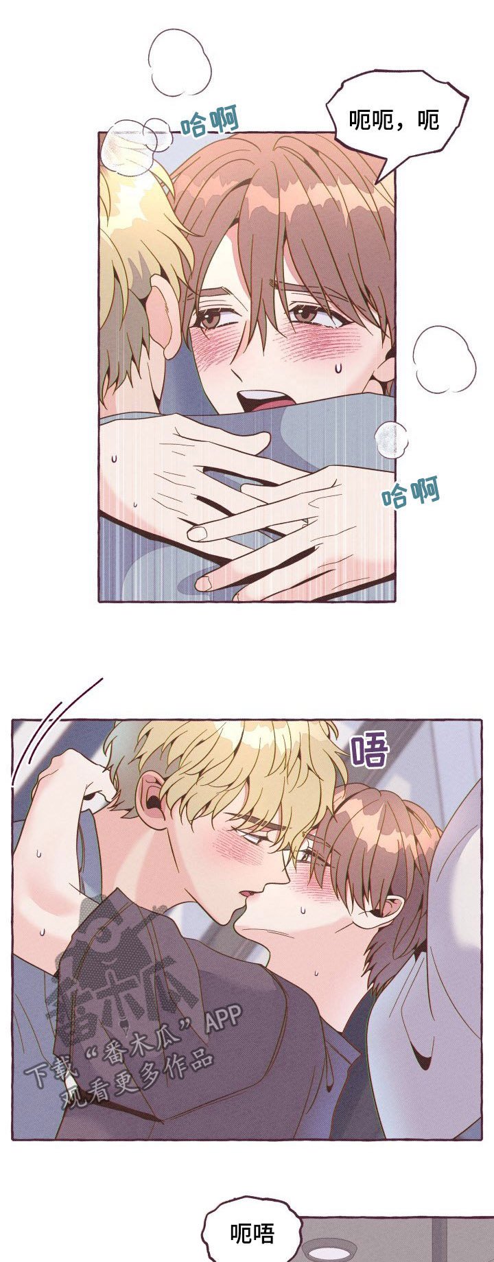第16章：陪伴