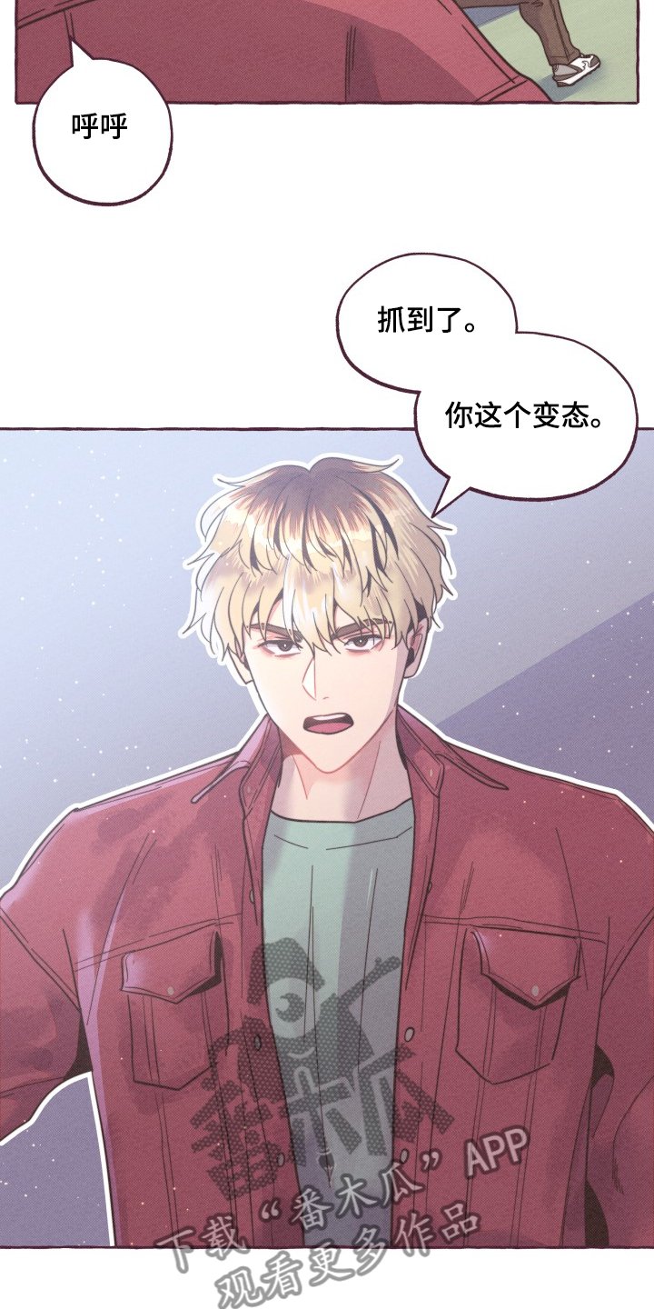 第28章：追逐