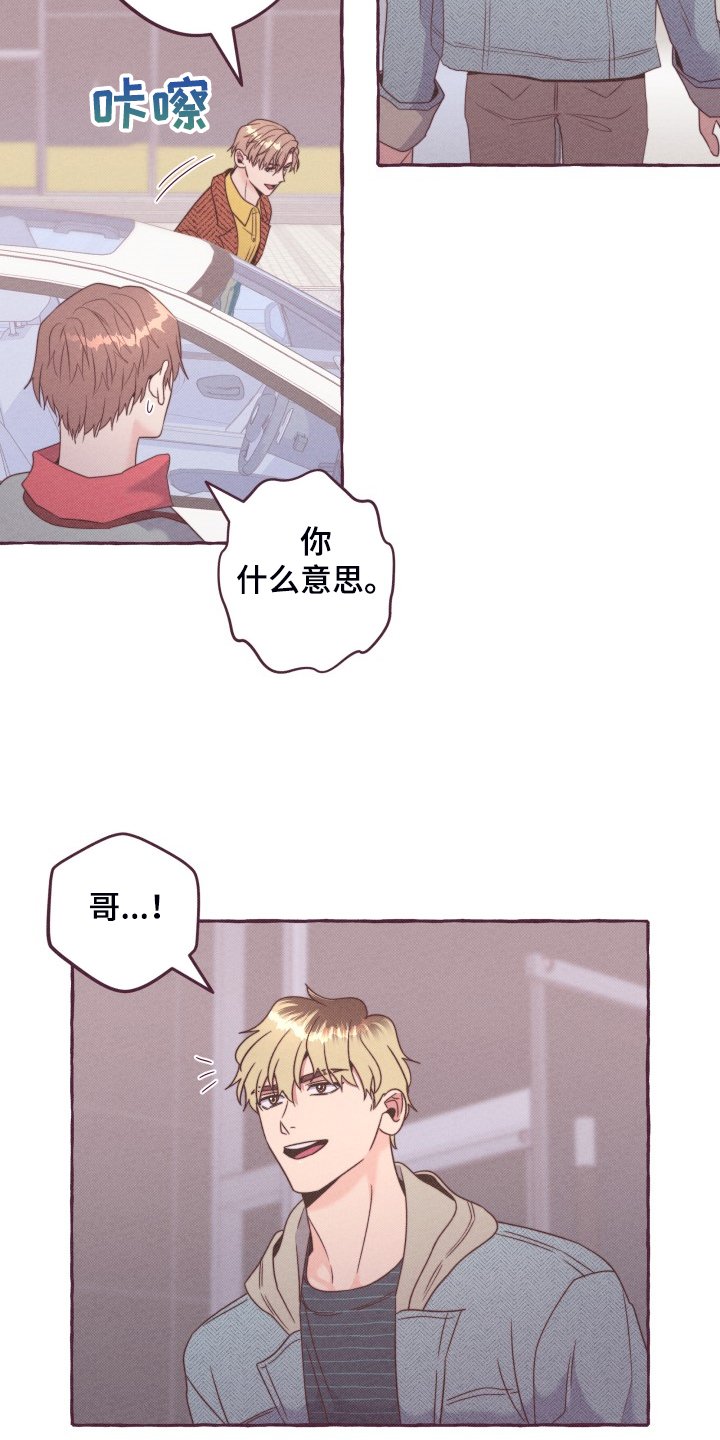 第46章：你只是替身