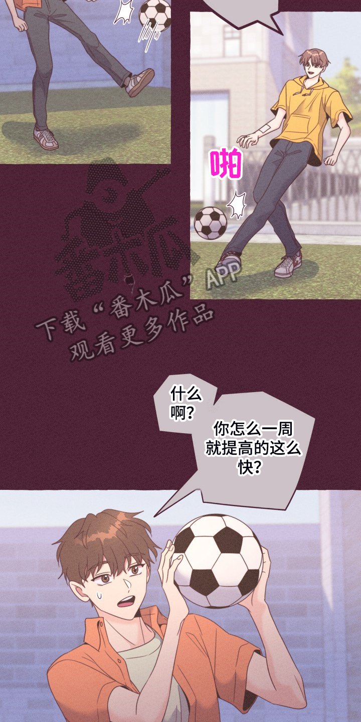 第47章：如果从未遇见