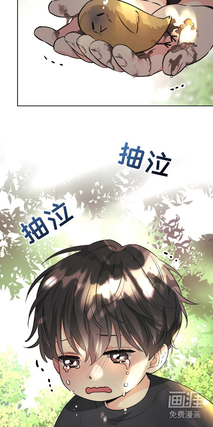 第1章：小盆栽