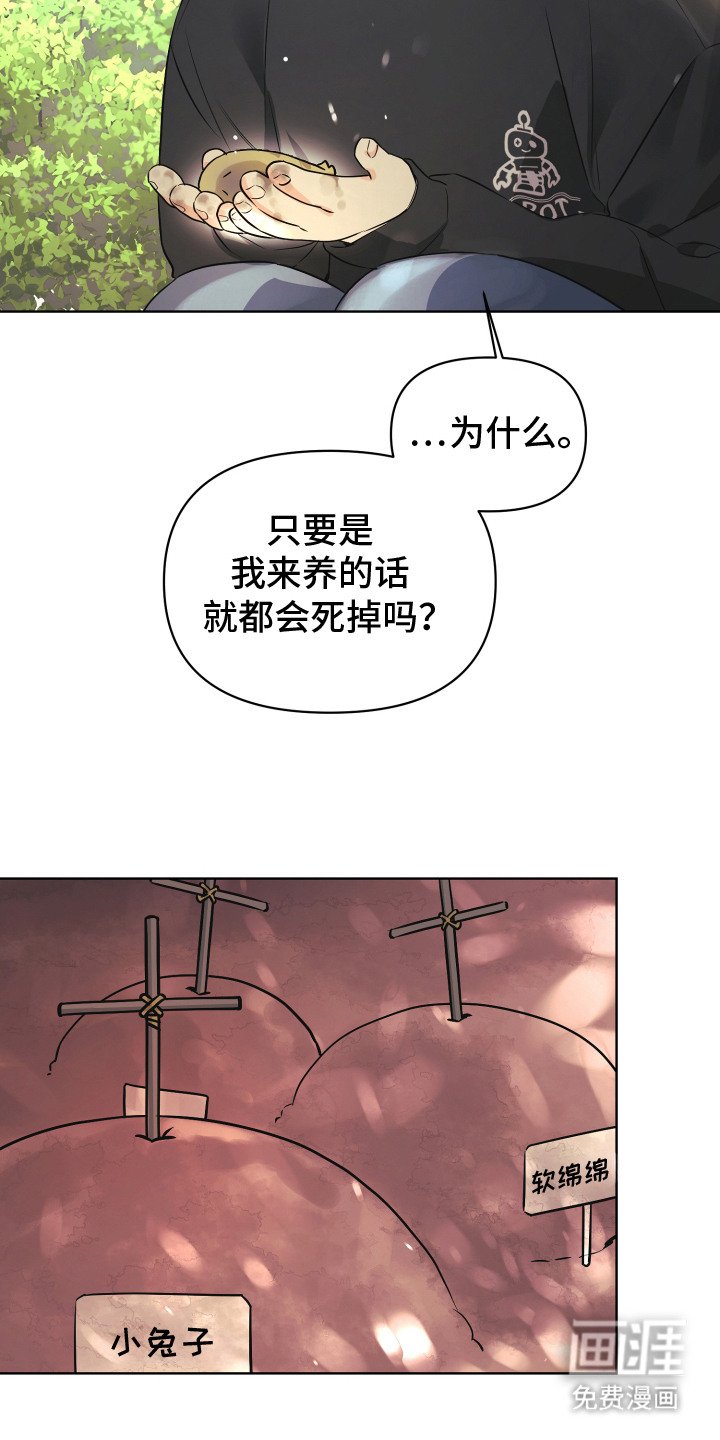 第1章：小盆栽