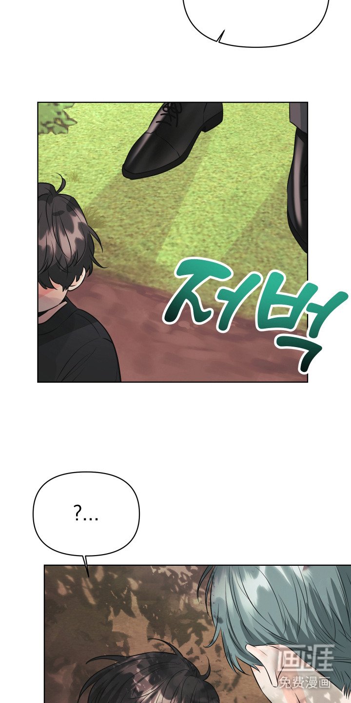 第1章：小盆栽