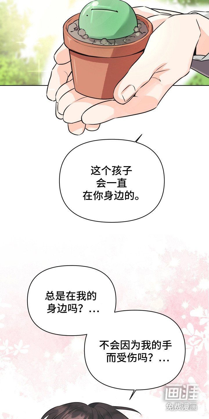 第1章：小盆栽