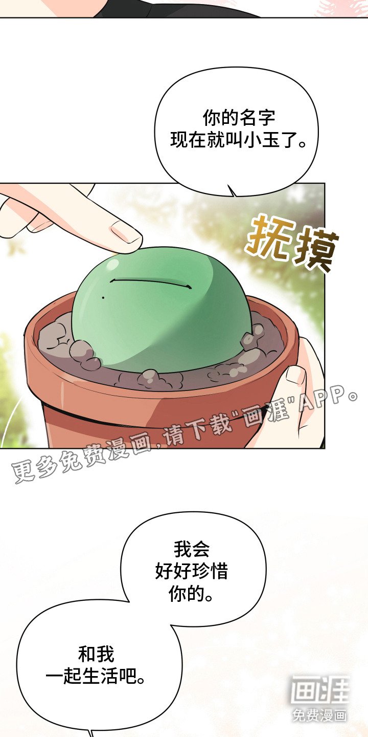 第1章：小盆栽