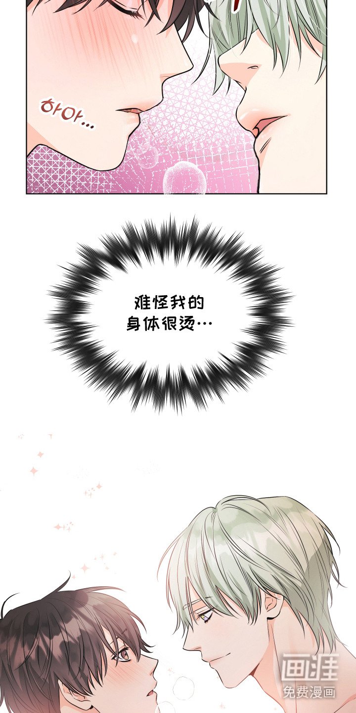 第1章：小盆栽