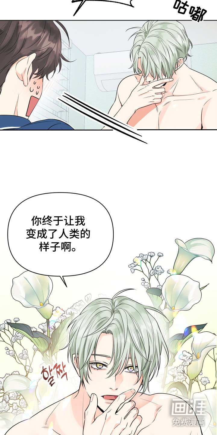第1章：小盆栽