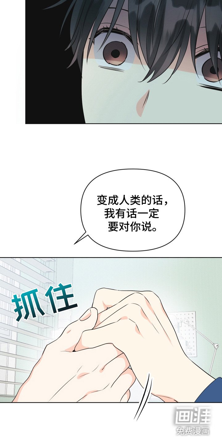 第3章：变成人