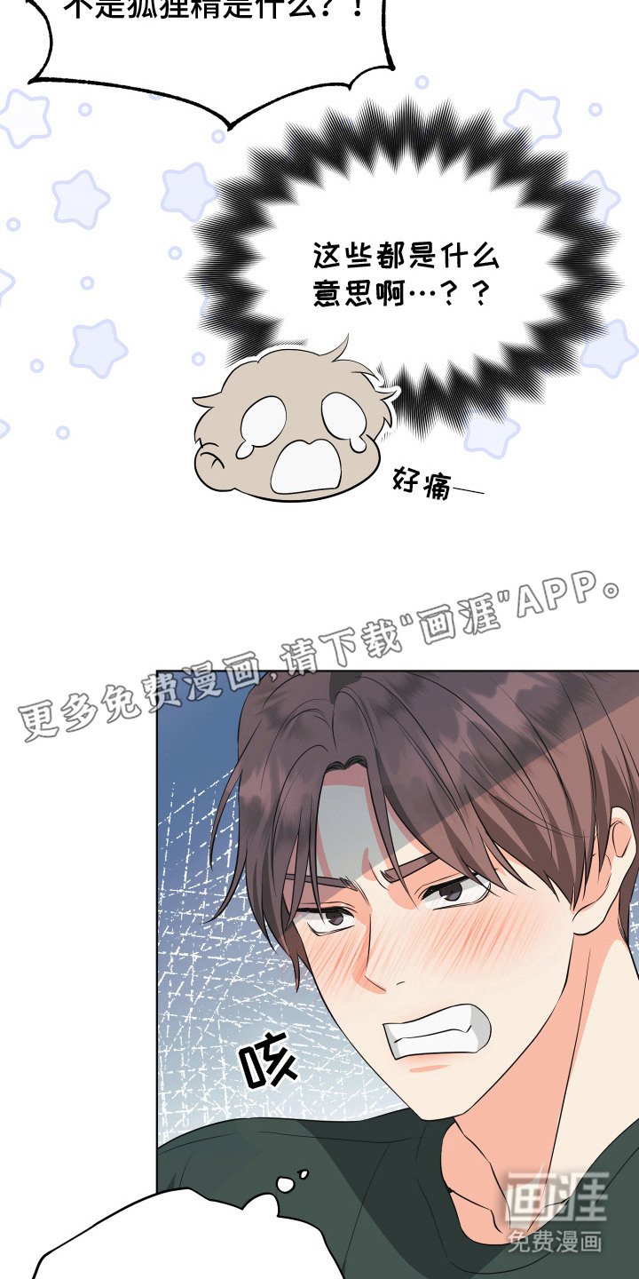 第6章：狐狸精